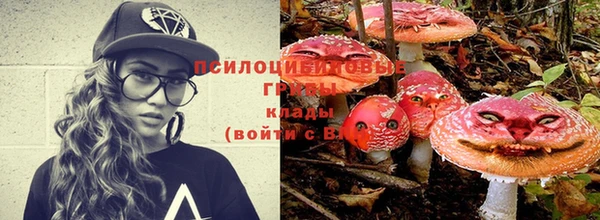 крисы Арсеньев